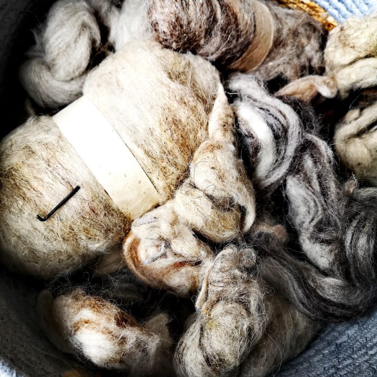 IMG_20210305_132951_701